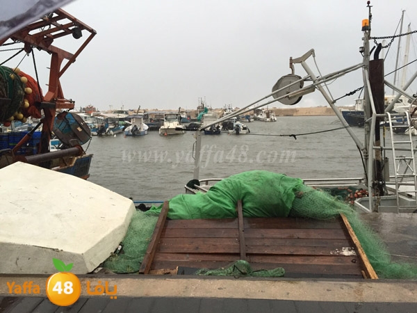 yaffa sea ba7r 3asefa (7).JPG